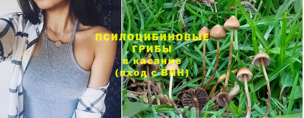 mix Белокуриха