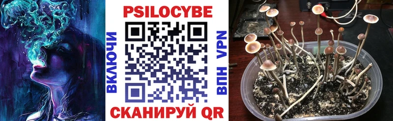 Псилоцибиновые грибы мицелий  закладки  Мариинский Посад 